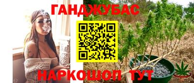СК Северобайкальск
